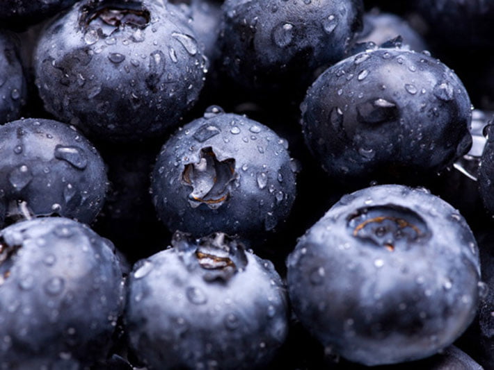 blueberries_web